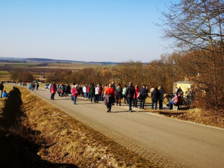 Völkerwallfahrt zum Märzenbecherwald