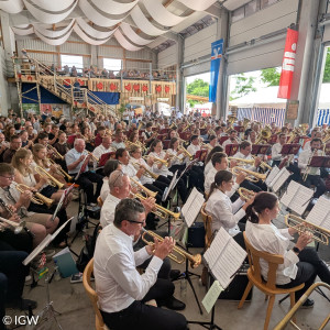 Posaunenchor Trommetsheim2